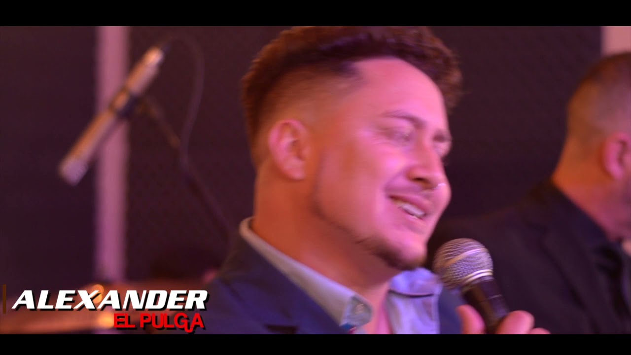 ALEXANDER -ELPULGA