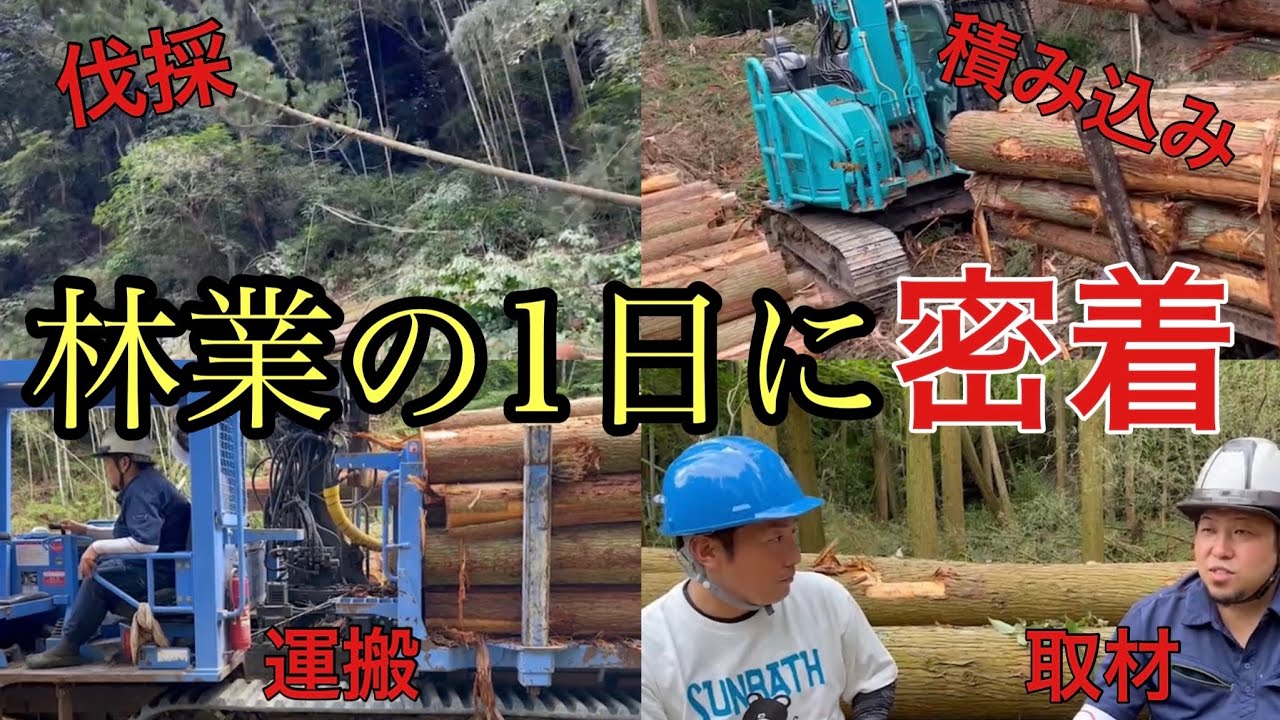 【一日密着】林業の過酷すぎるリアルな現場に密着！