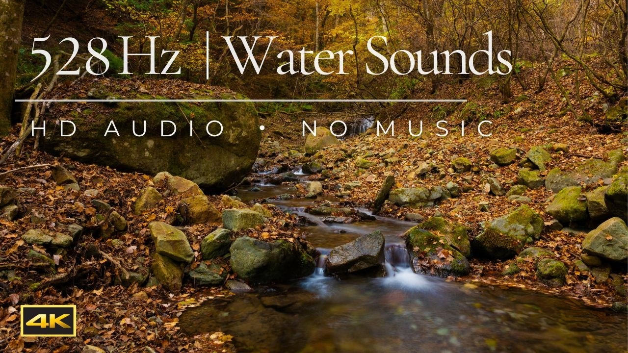 Soothing Sounds of Water of a Fall Forest Creek ❘ 10 HRS ❘ Sleep ASMR