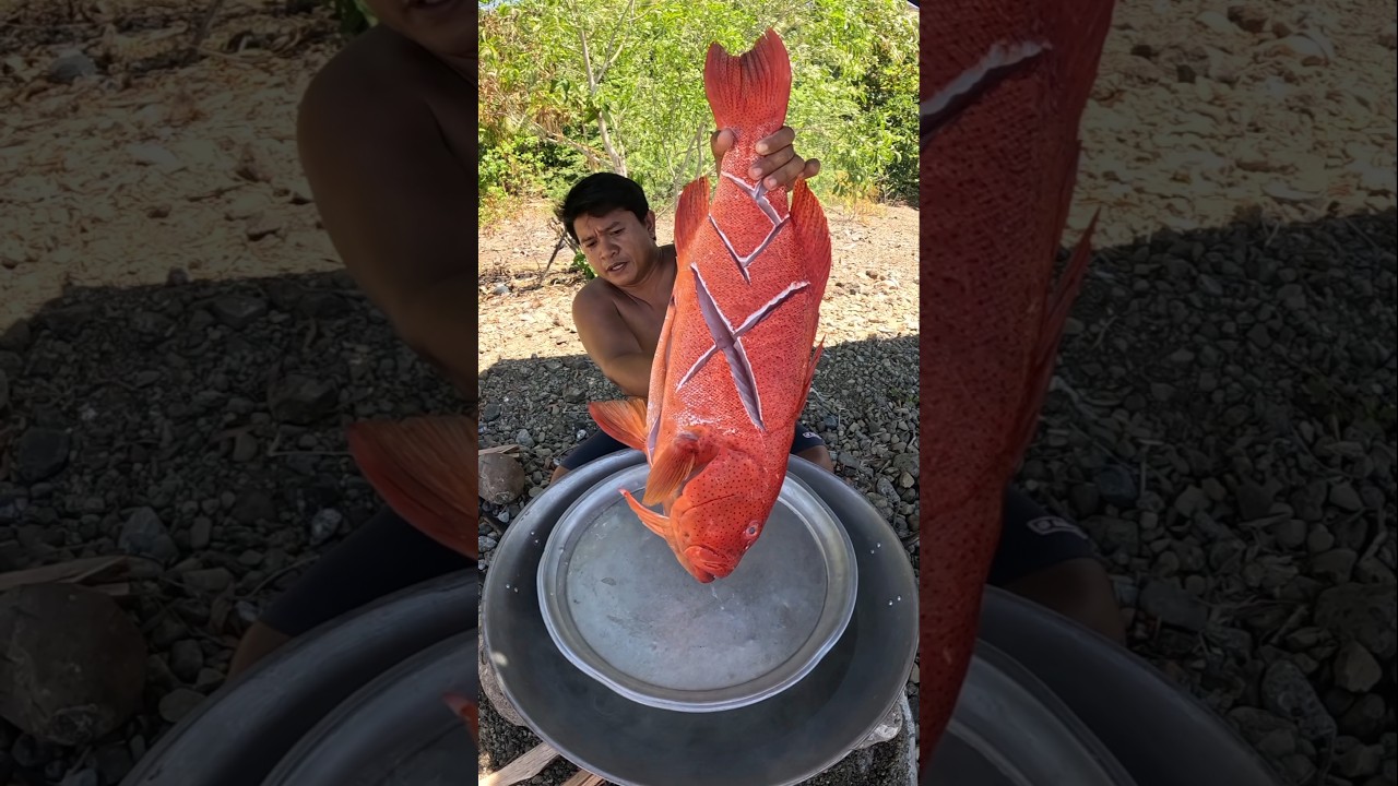 Fisherman Cooking Steamed Red Grouper Fish! 🔥