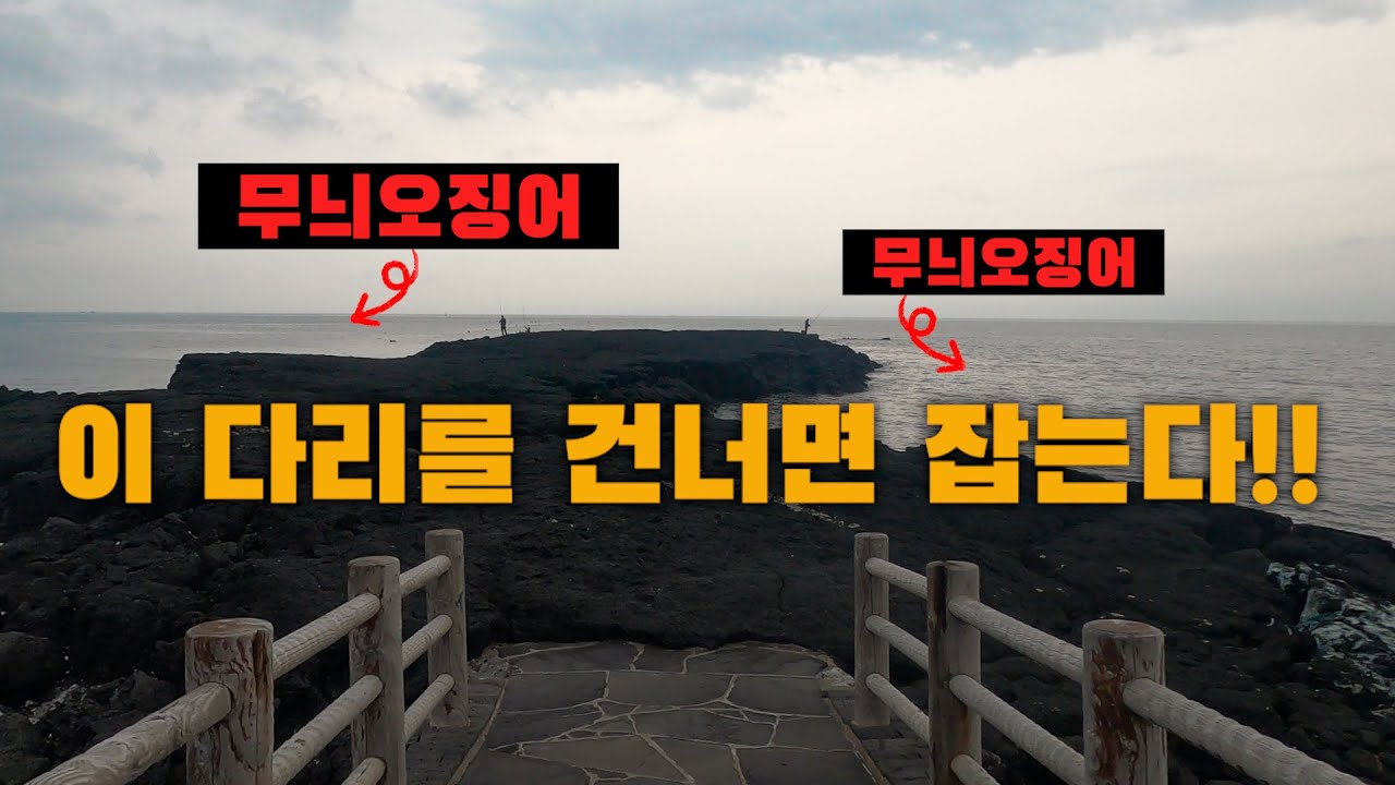여행중 만난 '최고의 낚시 포인트' I 제주도 무늬오징어 에깅