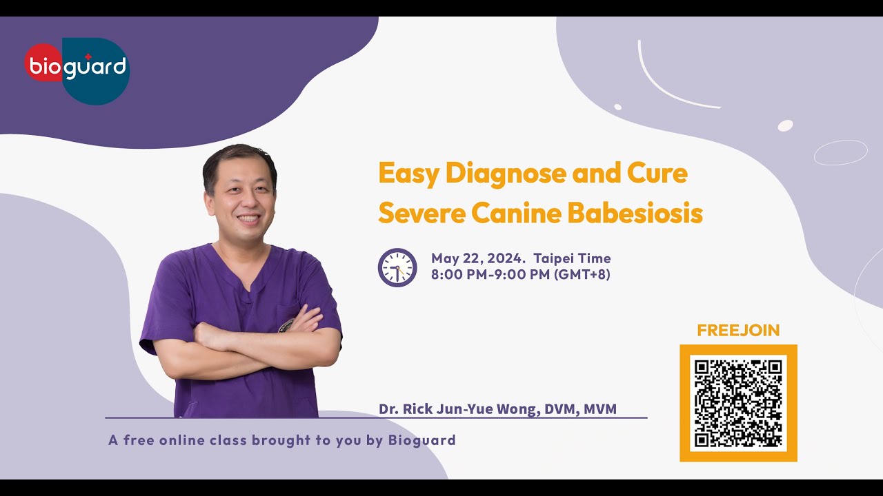 Easy Diagnose and Cure Severe Canine Babesiosis