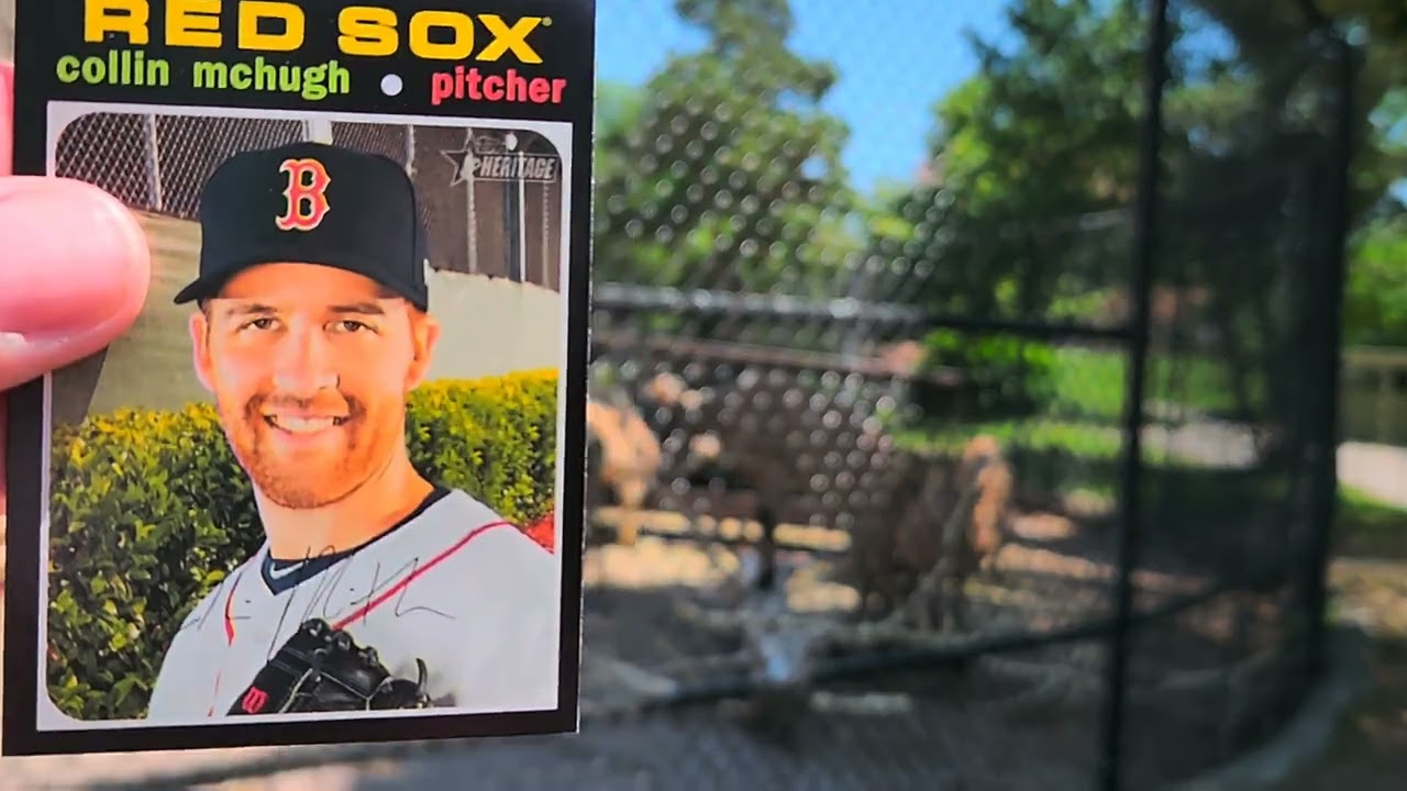 EXPLORING THE TORONTO ZOO AND OPENING BASEBALL CARDS! BIG AUTO HIT TO 25!