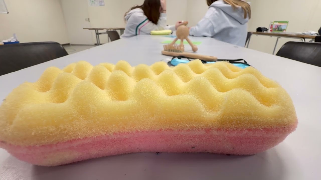 Was macht den Berufsorientierungstag für die Fachschule so interessant?