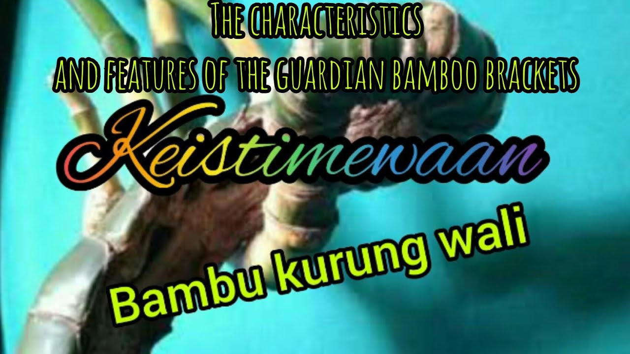 the characteristics and features of the bamboo brackets guardian