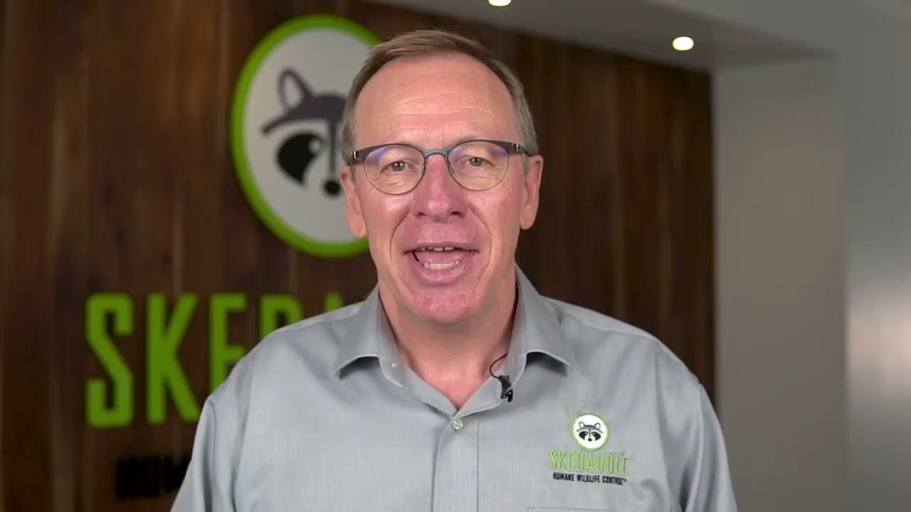 Skedaddle Brand Overview With Founder/CEO Bill Dowd