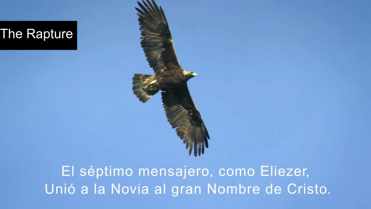 El Rapto 1