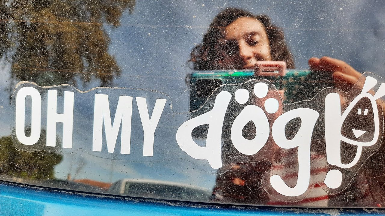 VAMOS a la Fundación ONCE del perro guía
