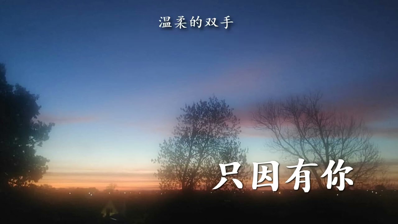 只因有你（風子阿强创作）