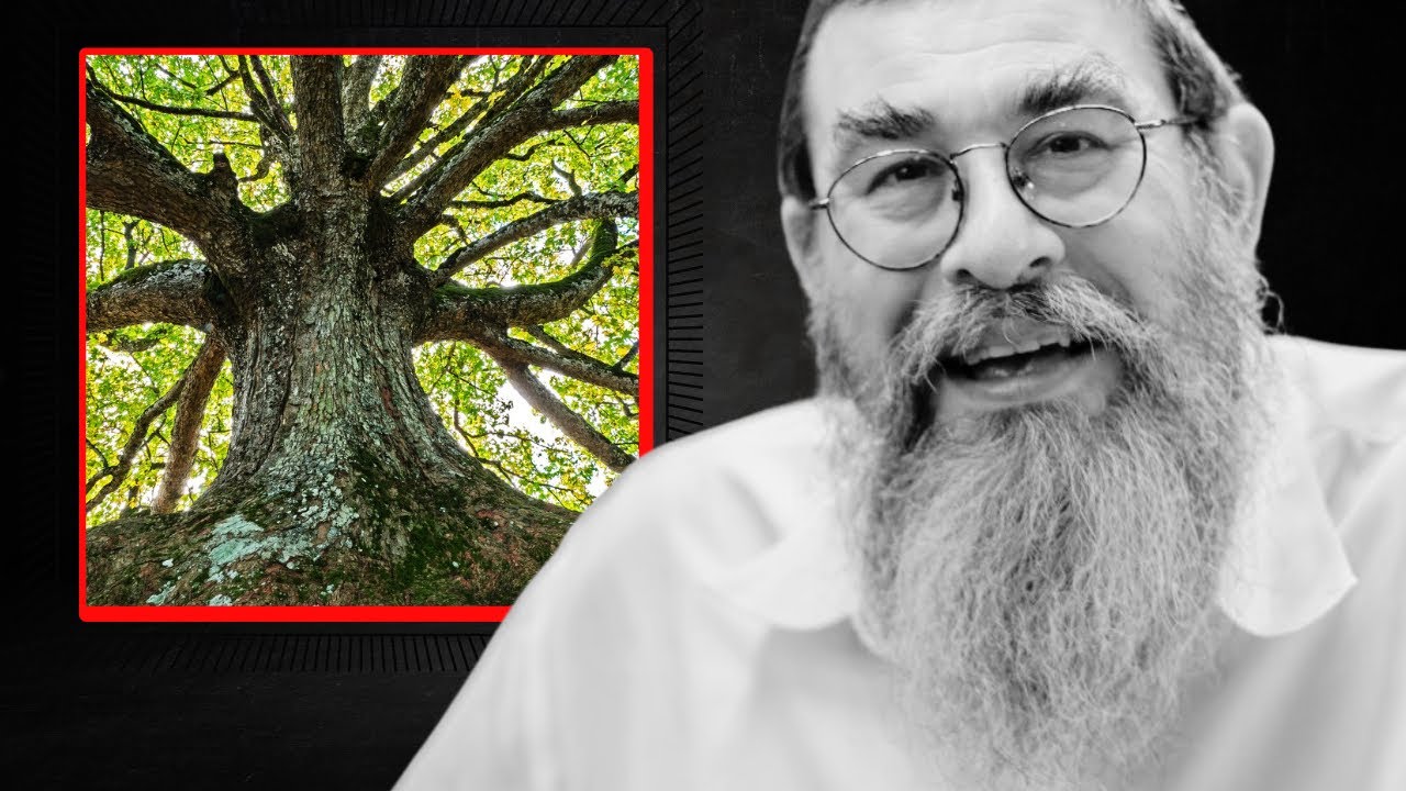 Here’s What NOBODY told you About Tu Bishvat