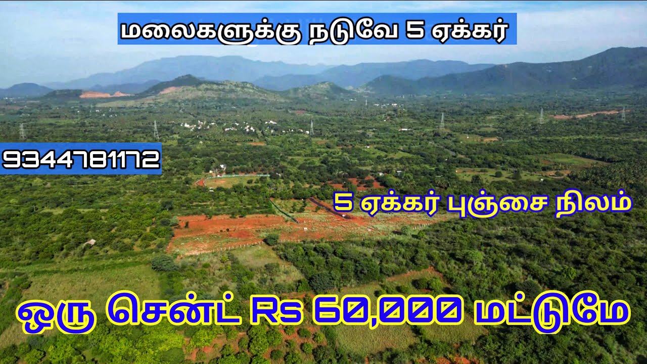Low Budget Farm Land for sale in Madurai |5 acre Whole Sale Low budget Land in madurai | Panimugil