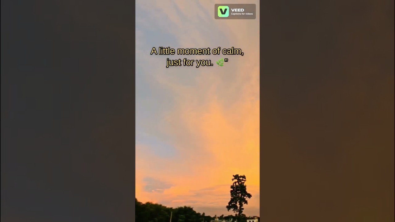Relax to this orange sunset 🌅 | Calm music & nature