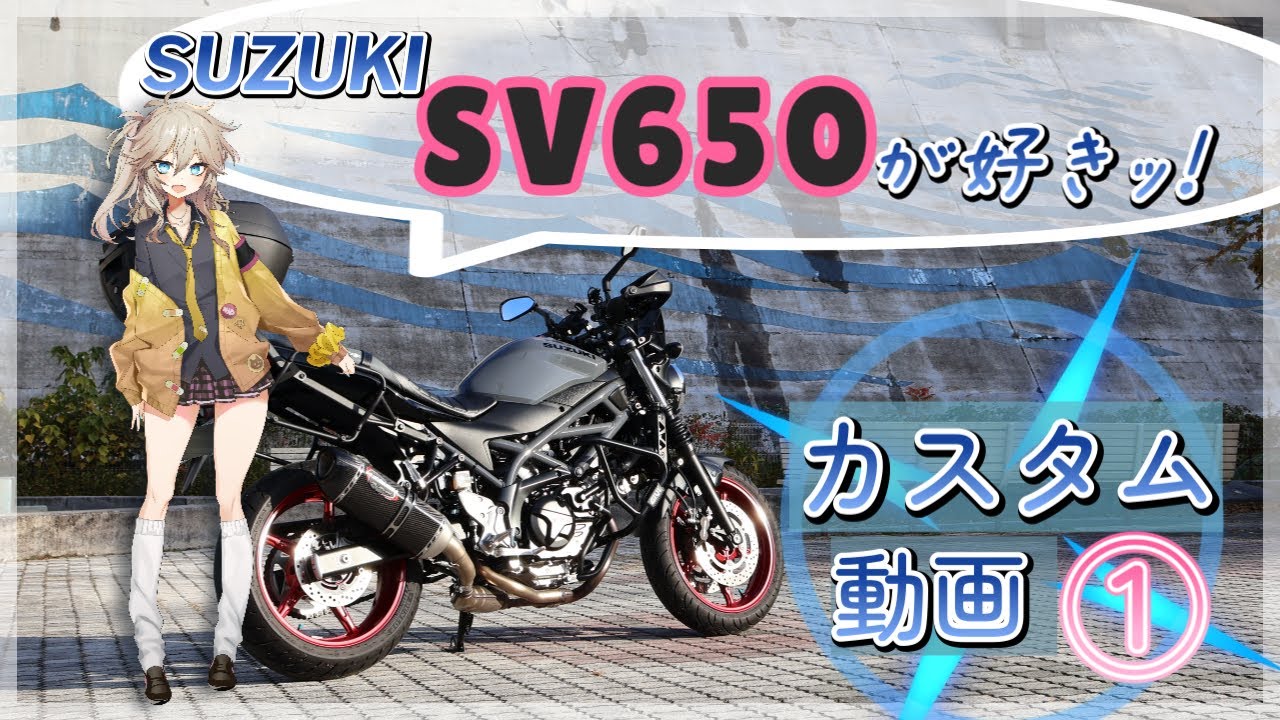【SV650】私のSVカスタム動画をUPします！part1