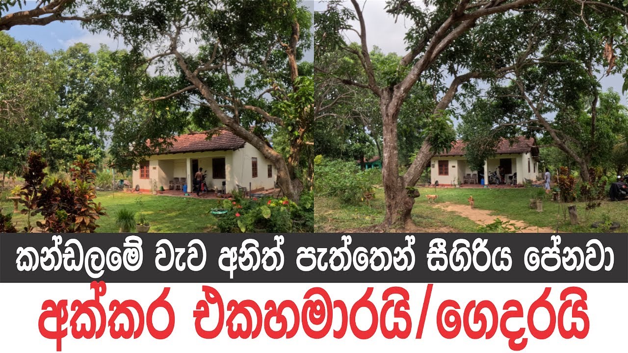 කන්ඩලමේ වැව පාරේ අක්කර එකහමාරක ගෙදර, සීගිරියටත් ගොඩක් ලගයි, කබානා හැදුවොත් සංචාරකයන් පිරෙයි