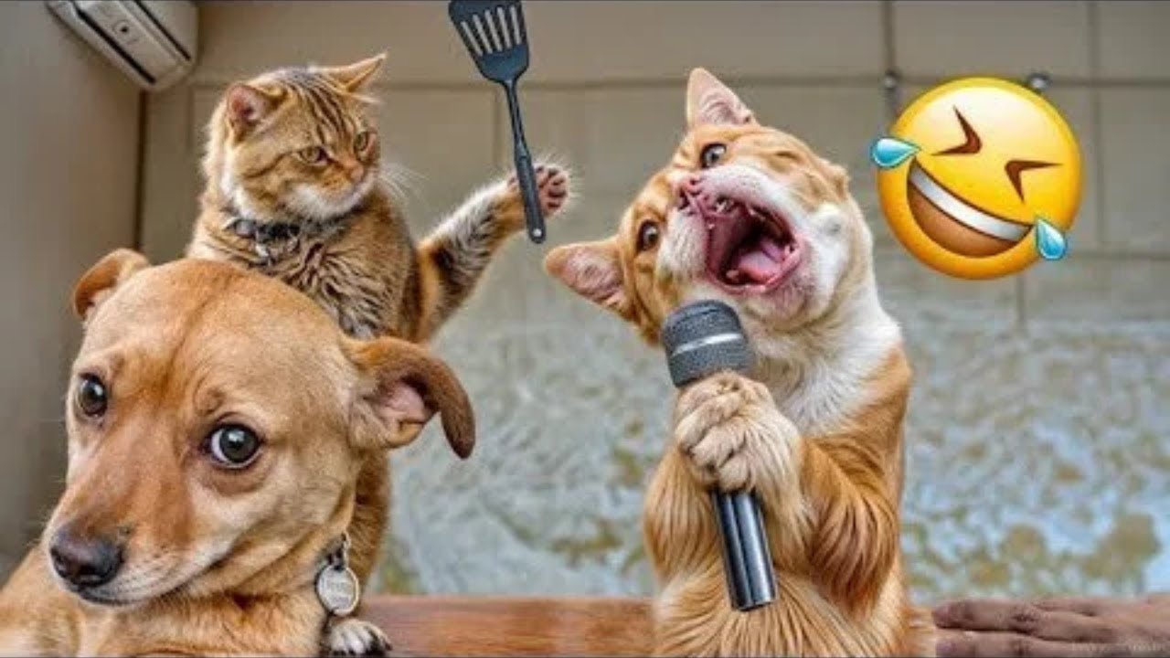 ULTIMATE Cat and Dog Videos 2026  | FUNNIEST Pets