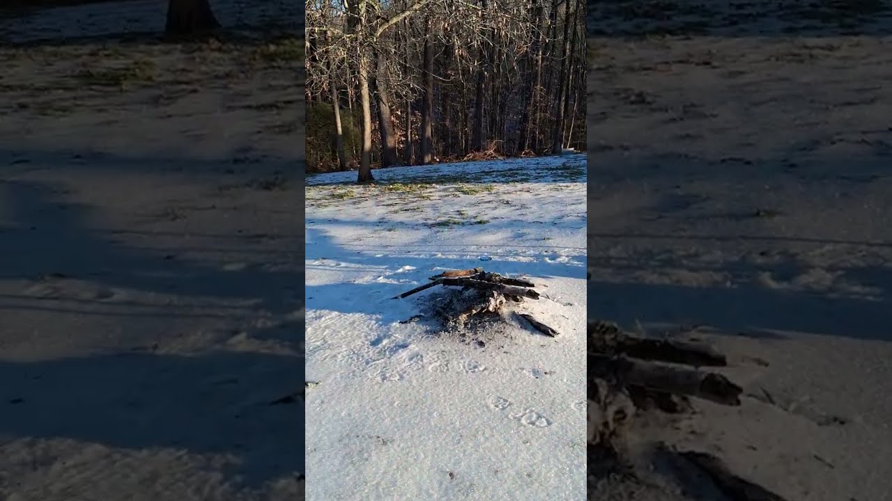 It's frozen!
