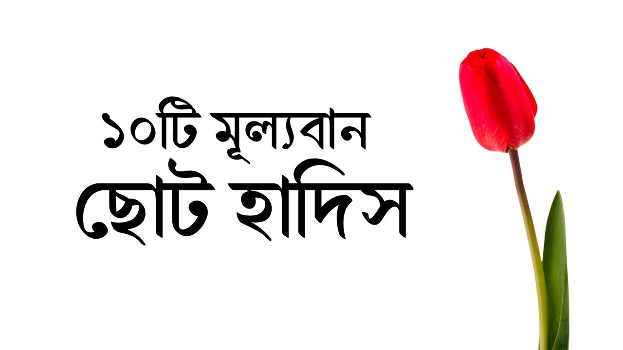 দশটি মূল্যবান ছোট হাদিস 🍁 || Small Hadith Bangla🍁