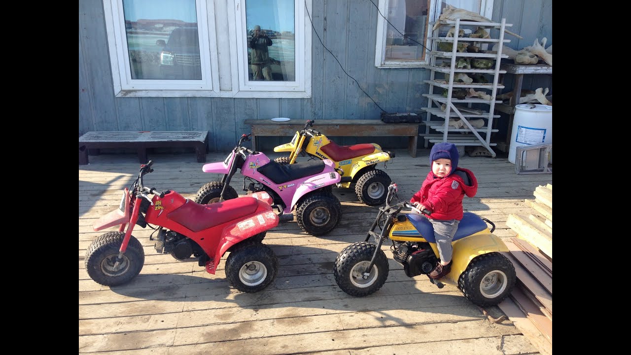 70cc Tri Zinger