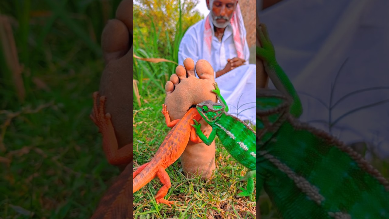 Allah Tala ke madad 😭 #ytshorts #news #prayer#today#trending #emotional#youtubeshorts#shorts
