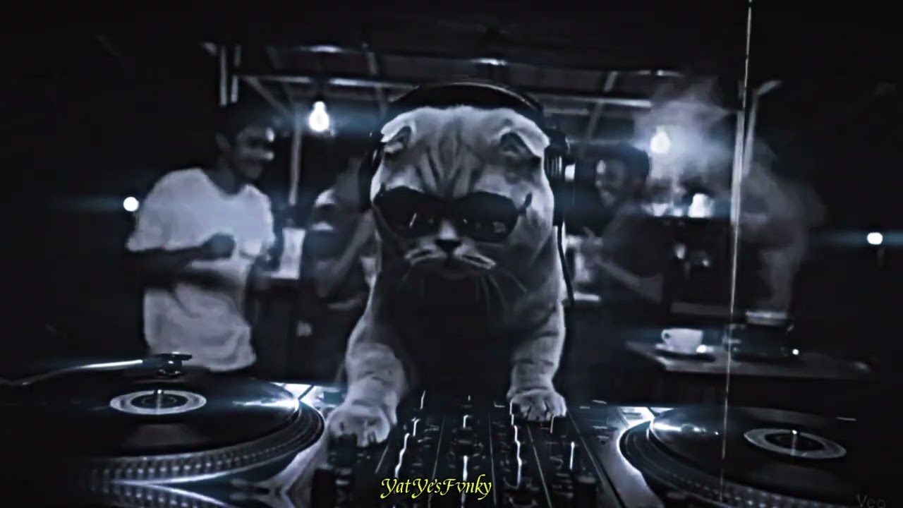 DJ DROP MENATAP RUDAL KANE TERBARU YANG KALIAN CARI 2026