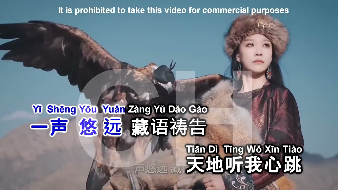 Pinyin Cang Qiong Huan 苍穹唤  林鹿儿 l&iacute;n l&ugrave; er