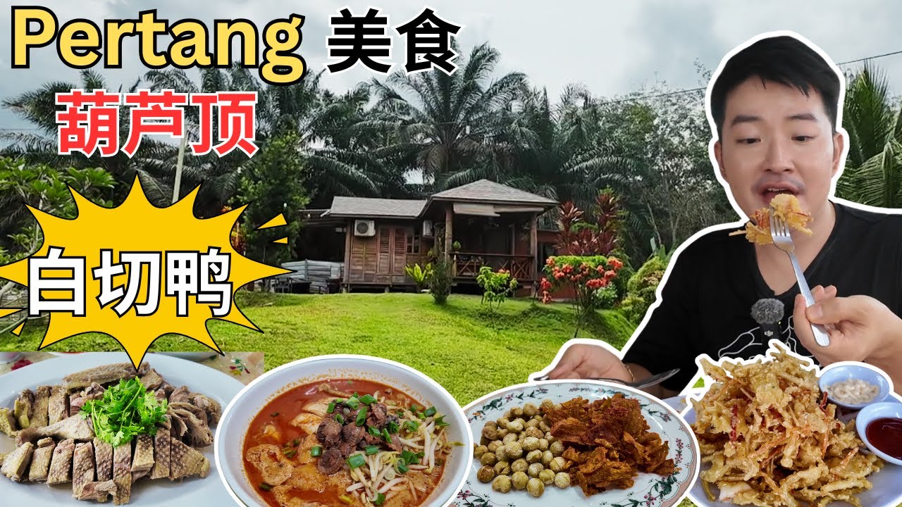 [Pertang葫芦顶~美食，入住马来甘榜木屋] 洪来～白切鸭，绿豆汤，凤梨生肠！华美咖喱面，葡挞！贵妹干捞面！420客家茶果！南盛海南茶室！南兴炒粿条！万兴～姜鸭，宫保黄鳝！莹彬虾面！通泰鱼苗场！