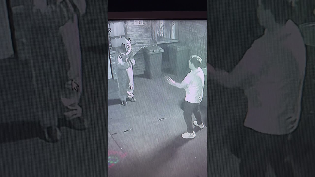 MACARENA 🪇 #portal #portalquest #quest #квест #портал #давайвквест #questroom #квеструм