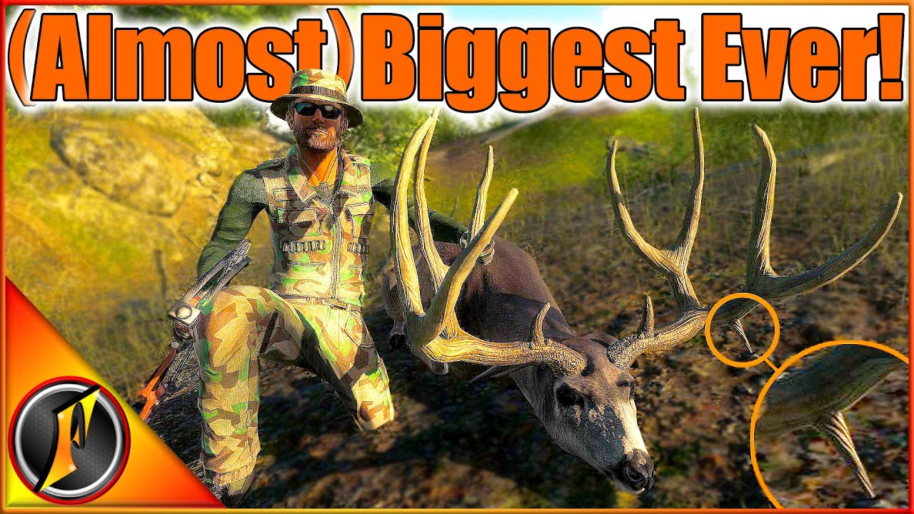 Наш САМЫЙ БОЛЬШОЙ мули В СВЕТЕ! ... Или нет? 😭😭 | theHunter Classic 2024