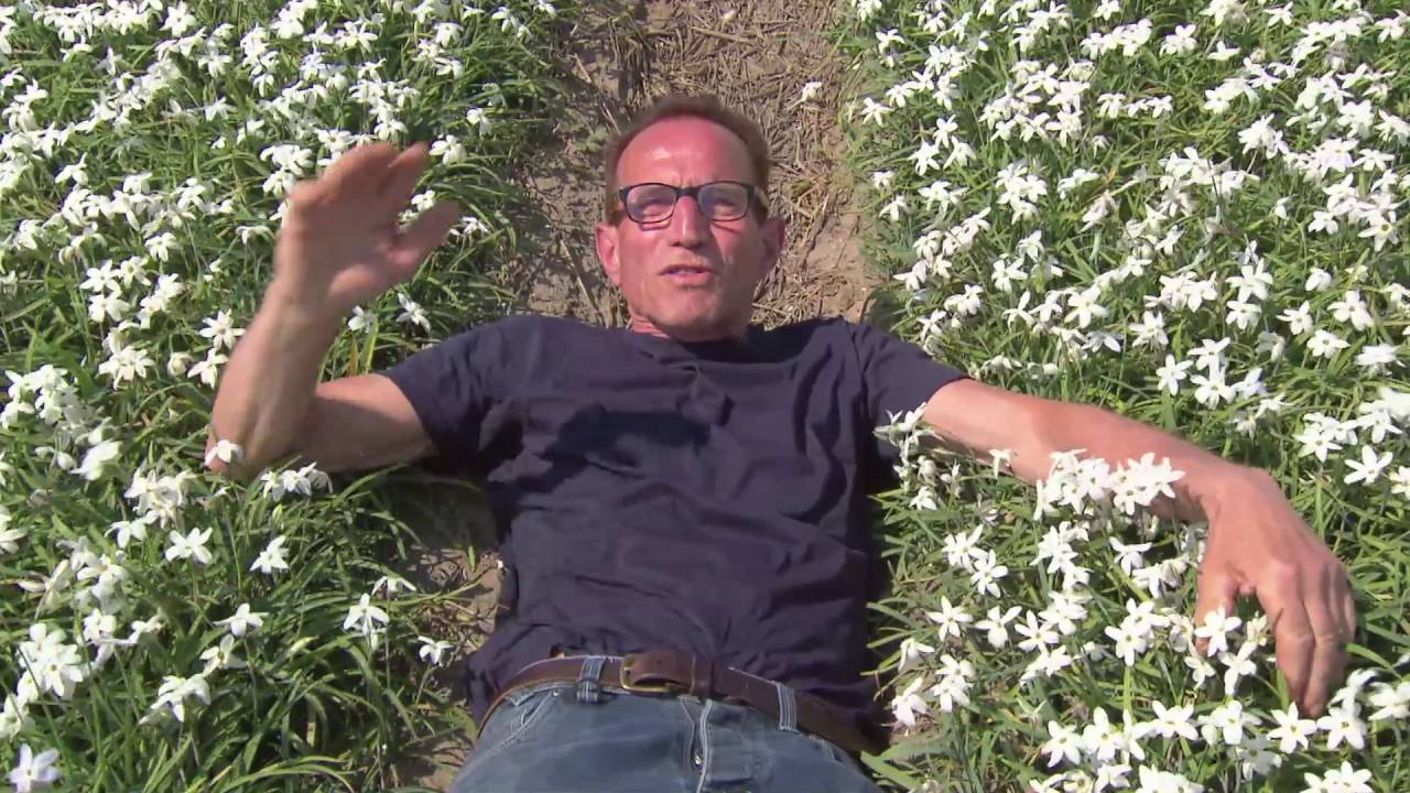 Bijzondere bloembolgewassen in SBS6 Rob’s grote tuinverbouwing