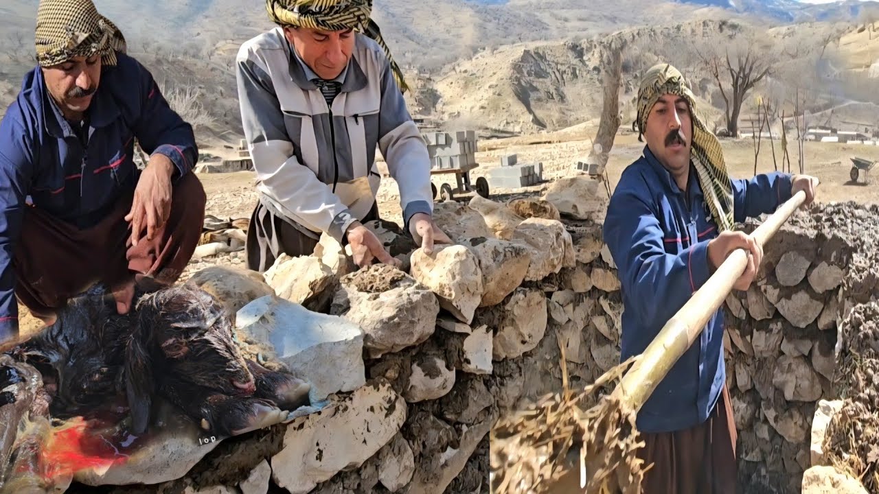 Nomadic life: A day's work in the heart of the mountains, building sheep pens with stones and straw