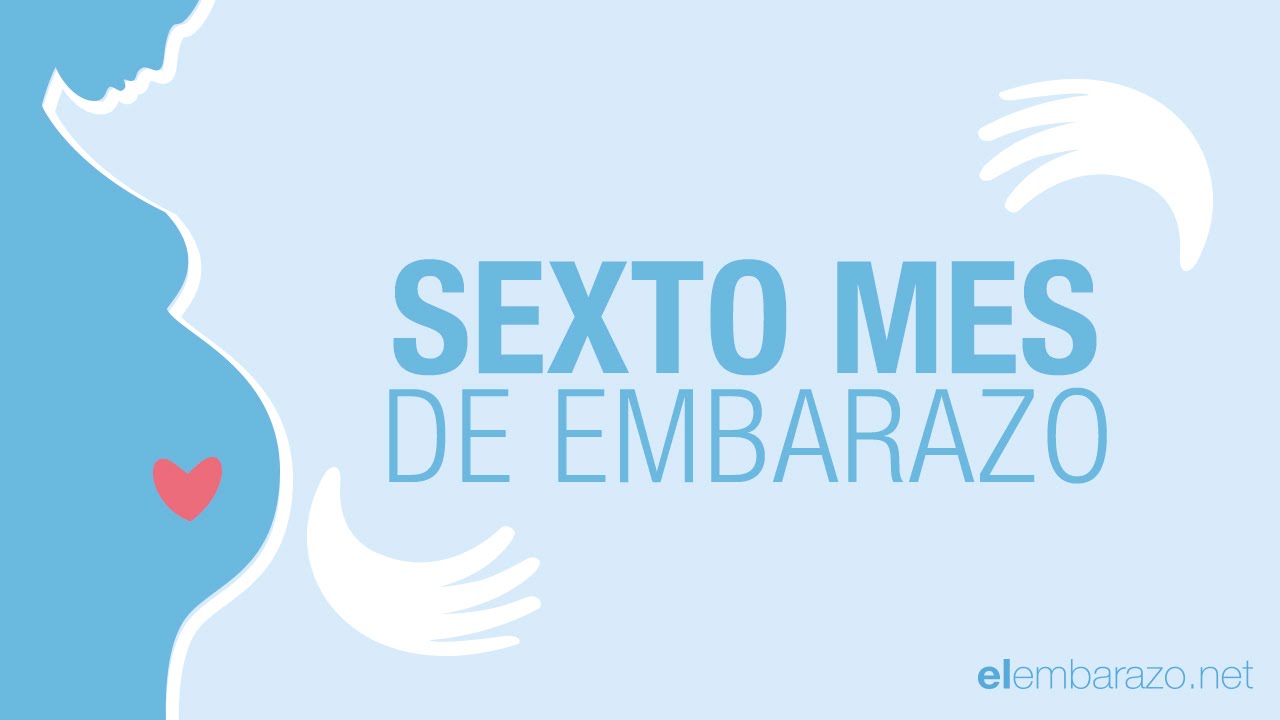 Sexto mes de embarazo | 6 meses de embarazo | El embarazo mes a mes
