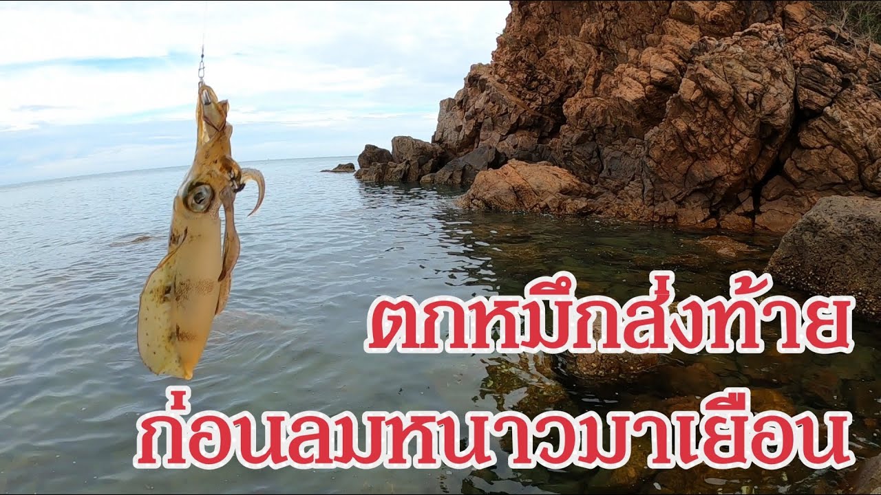ตกหมึกส่งท้ายปีก่อนลมหนาวมาเยือน ( ตกหมึกบางสะพาน )