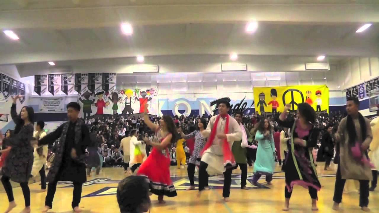 IPS School Multicultural NHS 2014