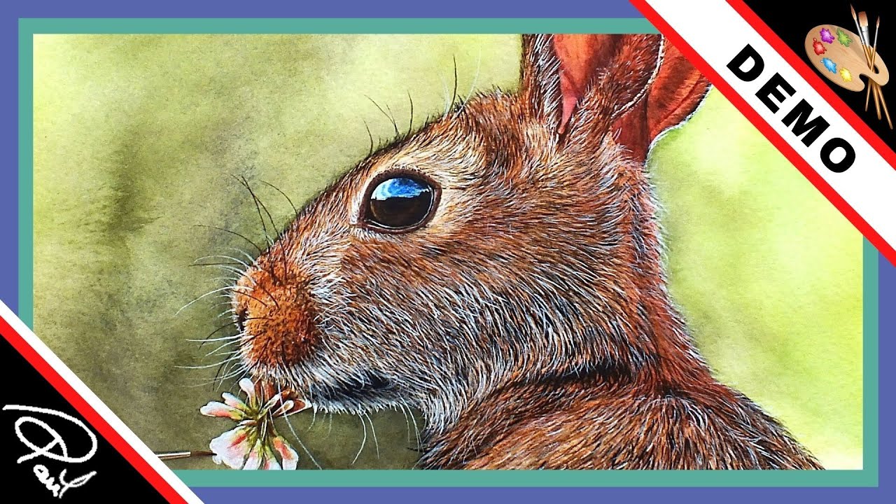 How to paint a realistic rabbit in watercolour - with Paul Hopkinson