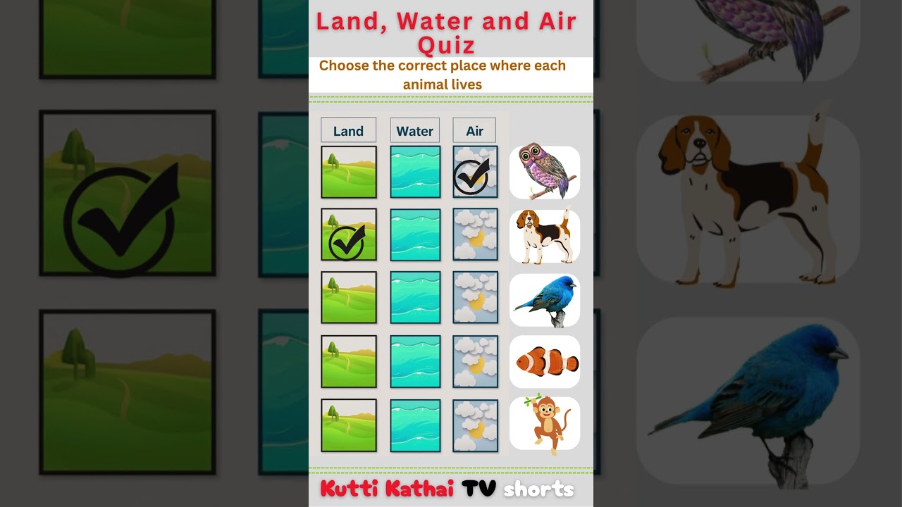 Where Do Animals Live? | Land, Water or Air Animal Habitat 40 second Quiz for Kids