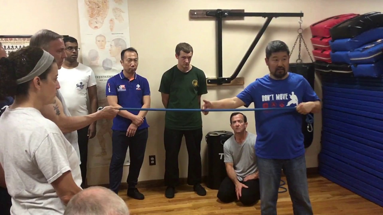 The "Stretch" & "Dot" Master Chen Zhonghua, Chen Style Taijiquan Practical Method, NY Workshop 2017