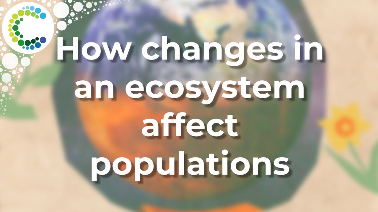 How changes in an ecosystem affect populations