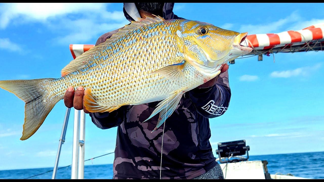 Offshore trip at Grande Riviere Sud Est Mauritius Ep60