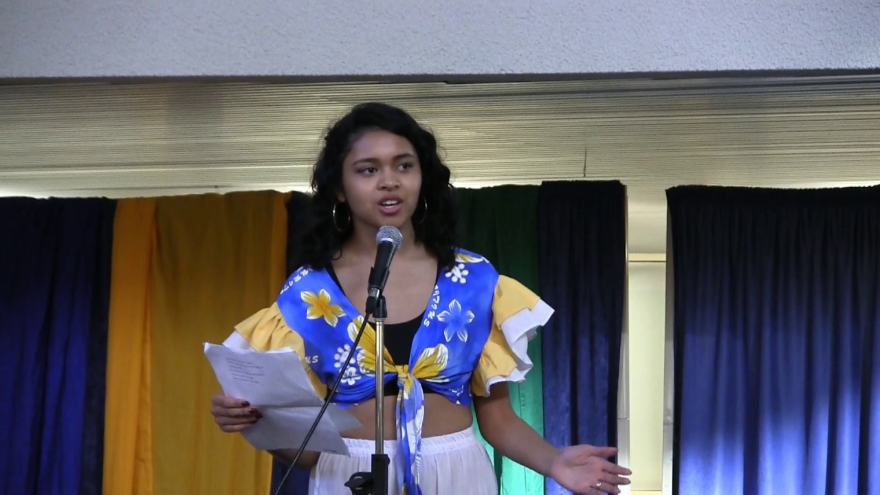 Mauritius National Day Flag Raising Ceremony at Toronto City Hall 2017 -  Entertainment Show Part 6