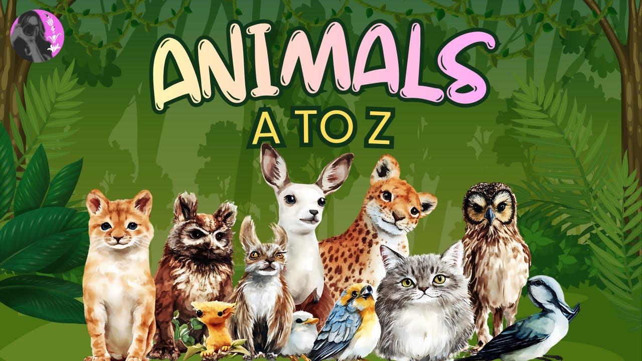 Animals A to Z | Learn Alphabet with Animals | ABC for Kids