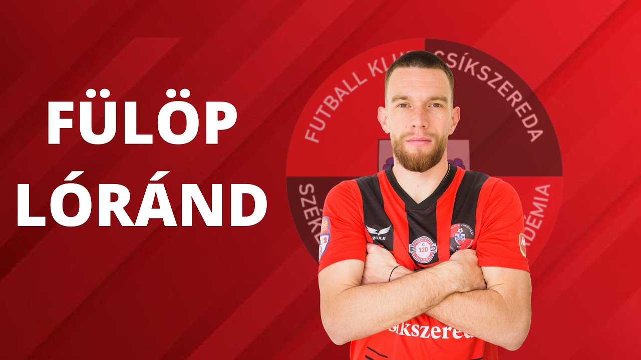 Fulop Lorand portre