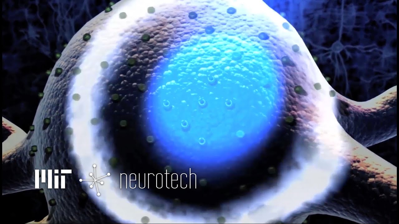 Neurotech 6: Light Activated Neurons (Optogenetics with Ed Boyden)