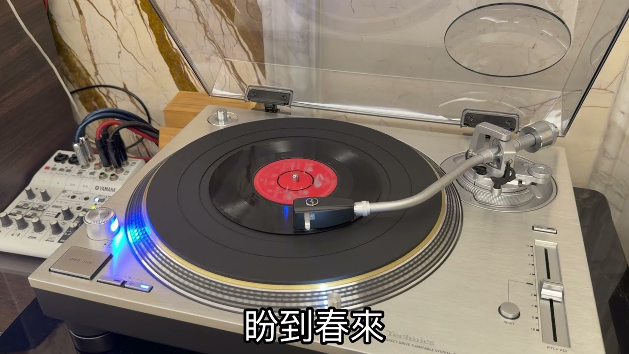 葉楓-紅顏何在 45 rpm