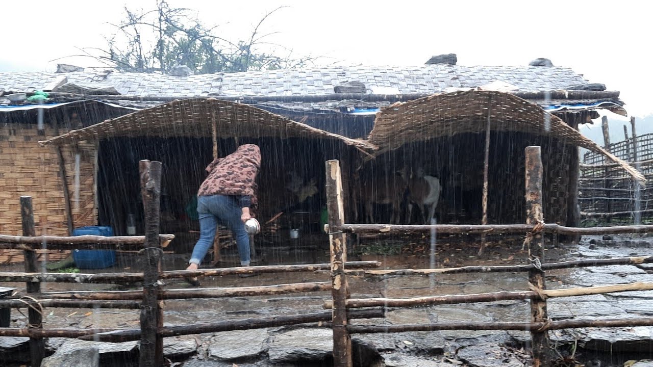 पानी परेको दिन | Rainy day। Unseen Beautiful Village and Simple Cooking Lifestyle Nepal Village Life