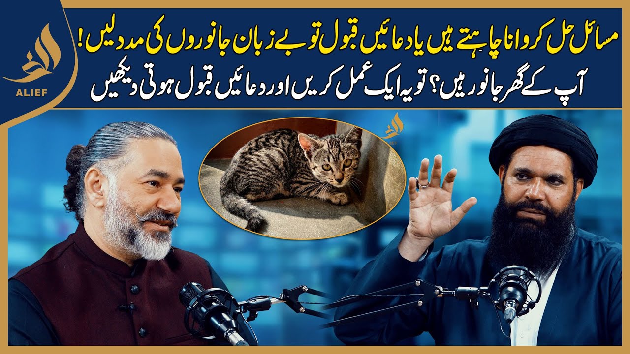Bay-Zubaan Janwaro Say Dua Kabool Karwaye| Hakeem Tariq Chughtai 'Ubqari'