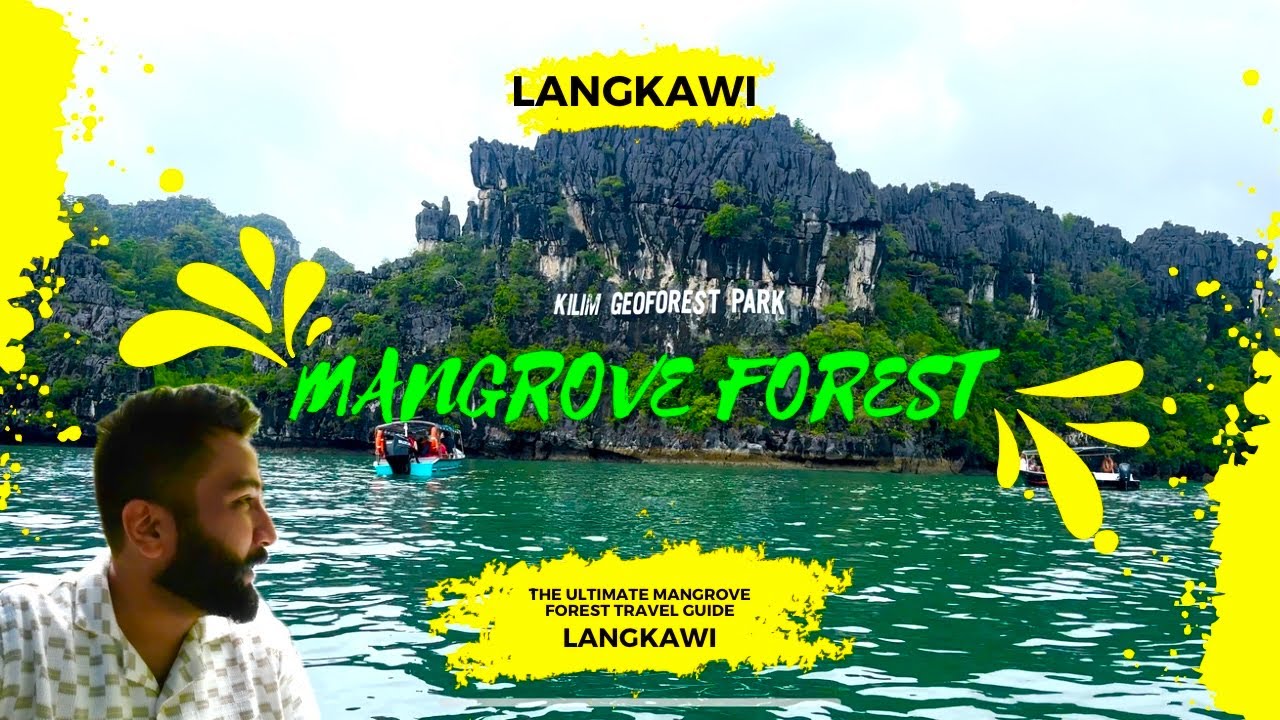 Mangrove Forest Tour Langkawi 🏖️ 4K | Kilim Geoforest Park 🌳 | Full Tour | Malaysia 🇲🇾 2024