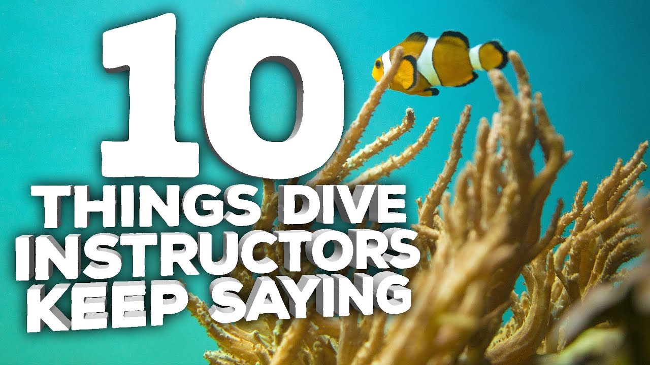 10 Things Dive Instructors Shouldn&rsquo;t Have to Keep Telling You