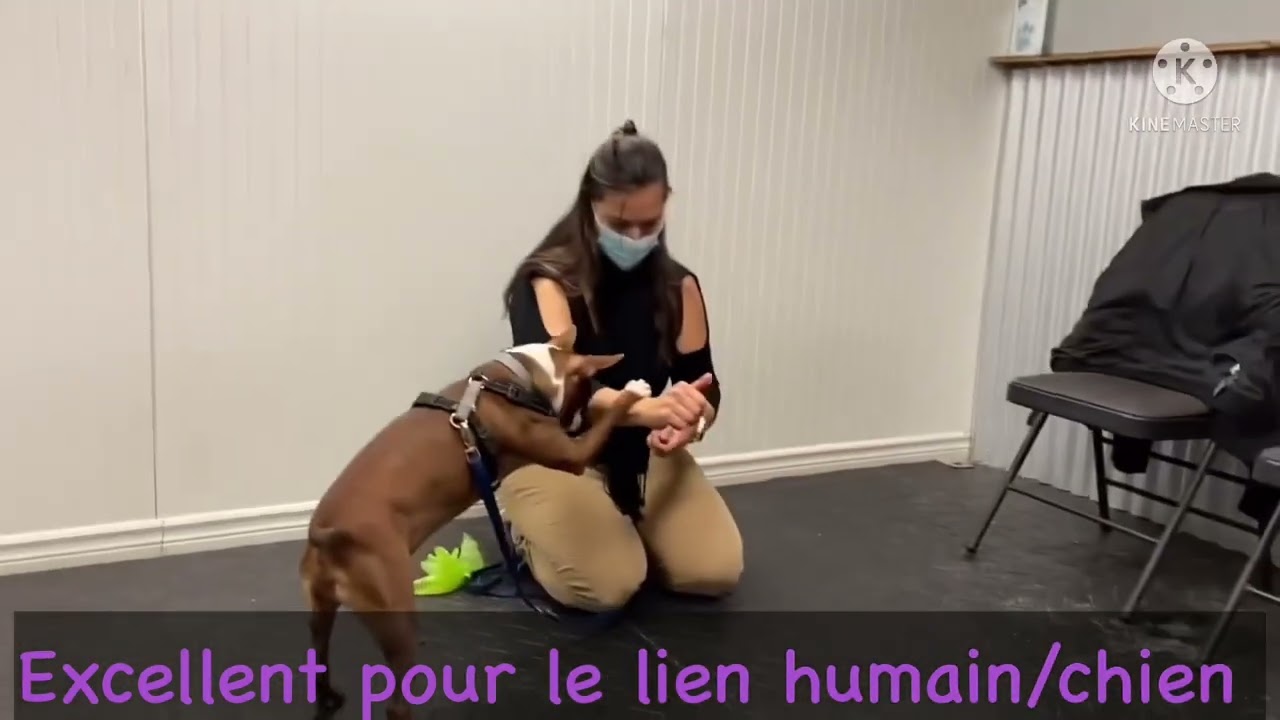 Cours de freestyle