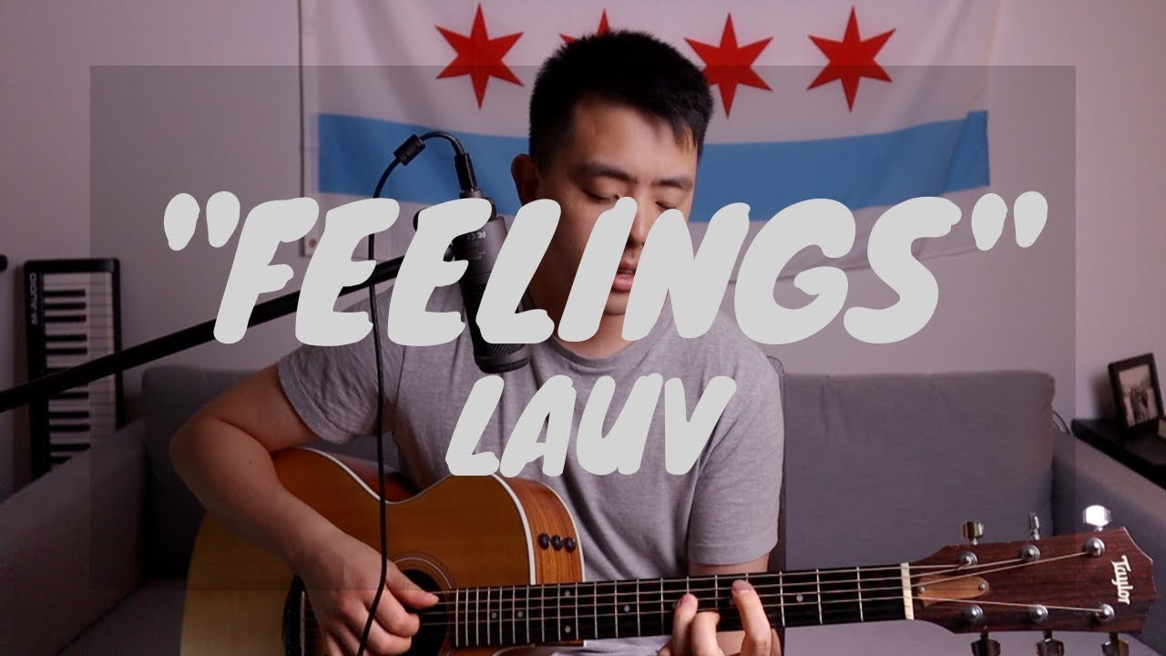 Feelings (acoustic cover) | Lauv