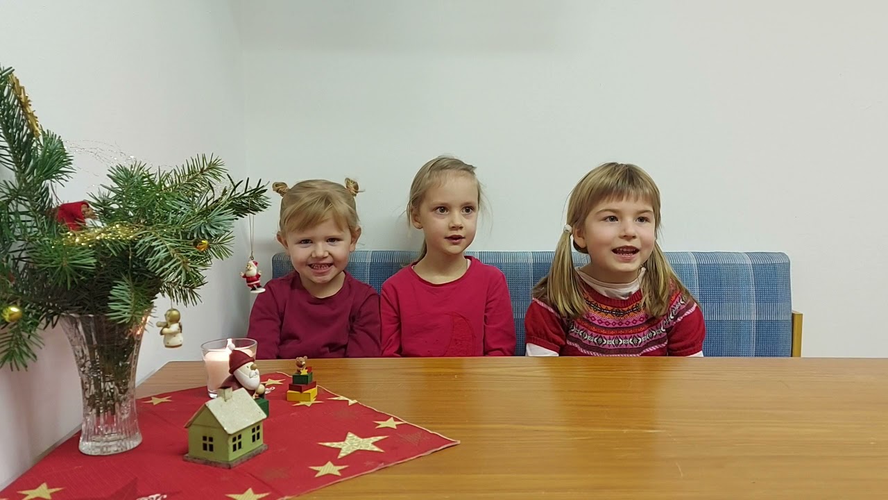 Anni, Frieda und Fina grüßen aus Neuhausen/Erzgeb. zum 2. Advent 2021
